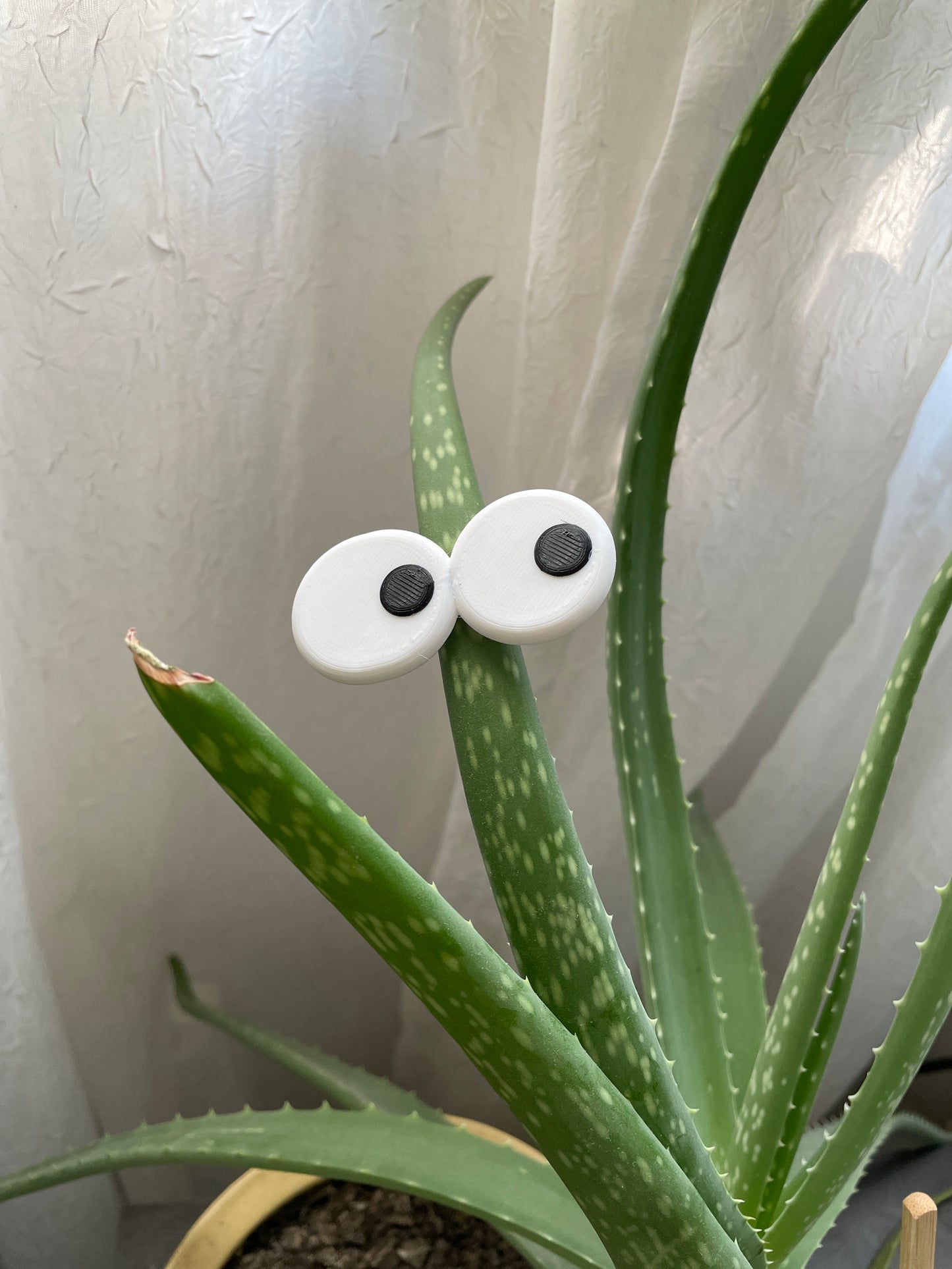 Funny Plant Eye Magnets