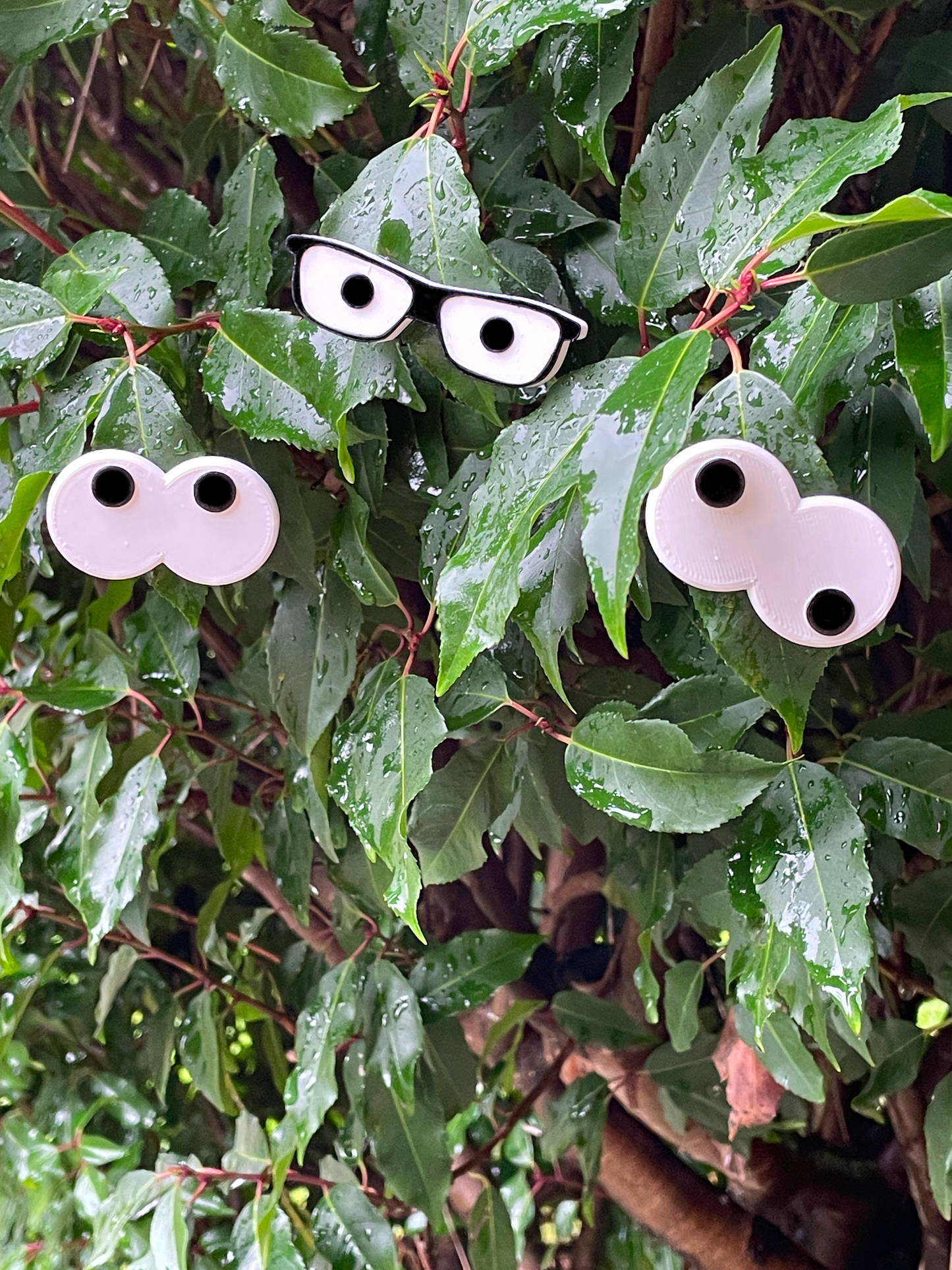 Funny plant eyes version 2