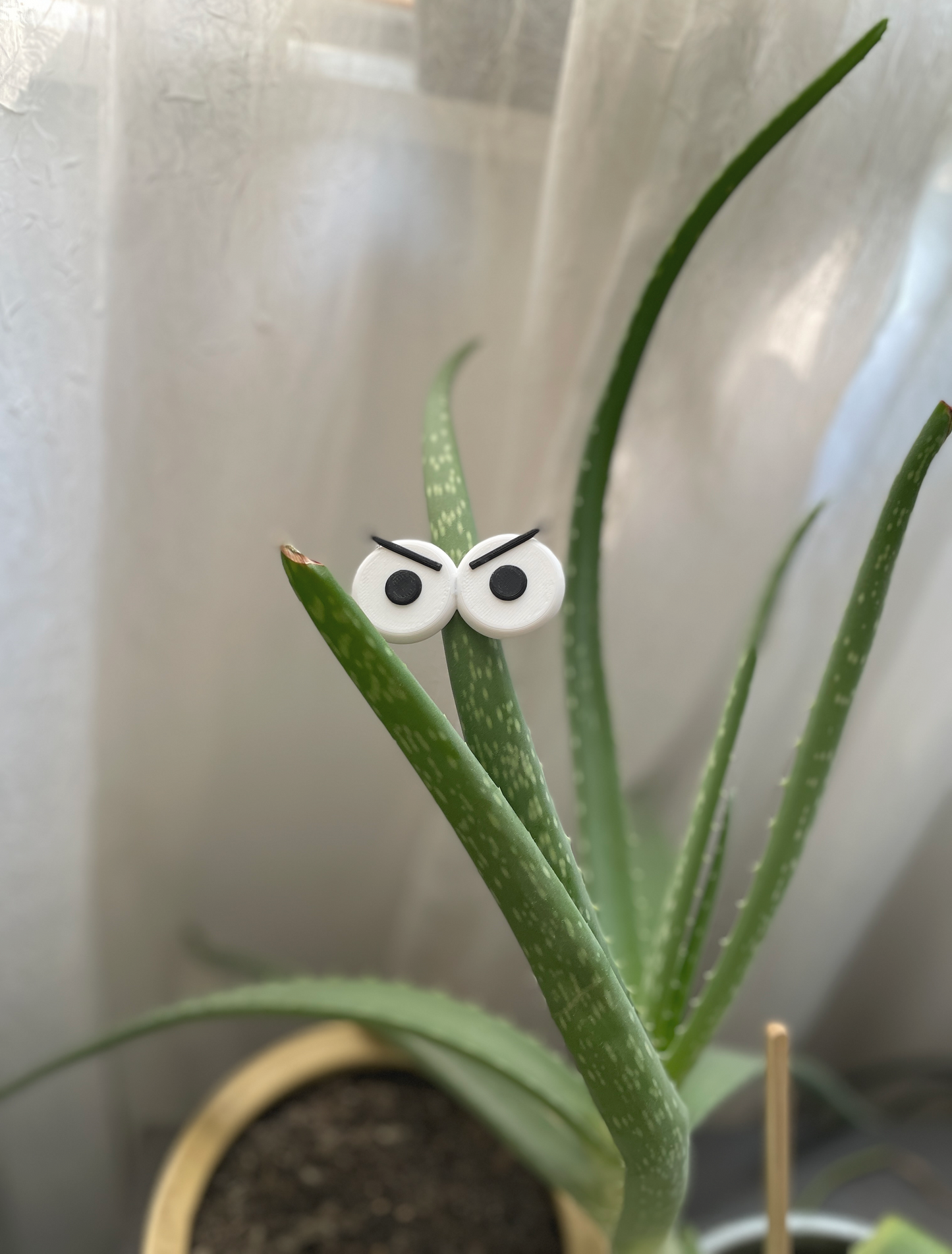 Funny Plant Eye Magnets