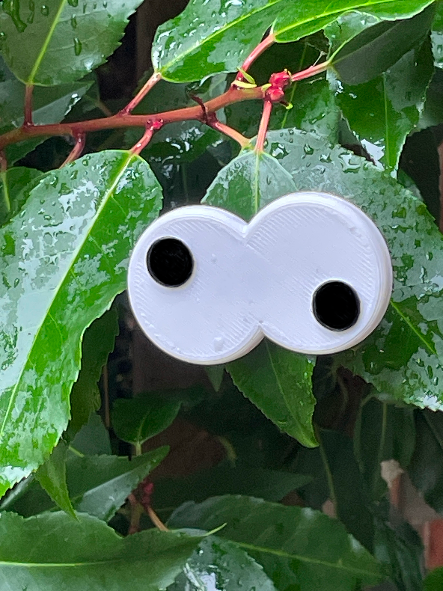 Funny plant eyes version 2