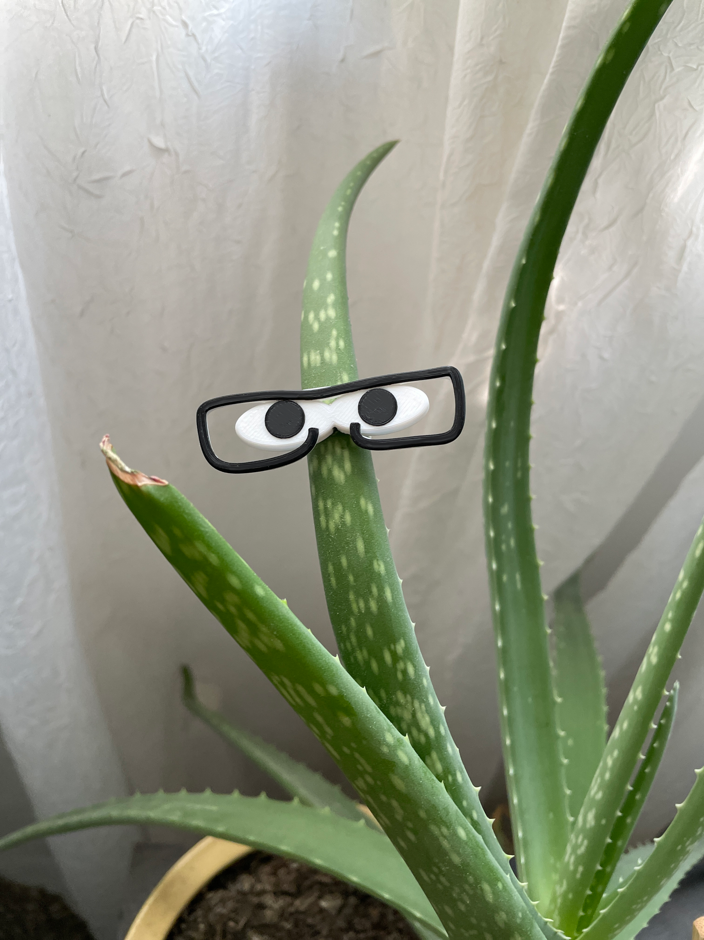 Funny Plant Eye Magnets