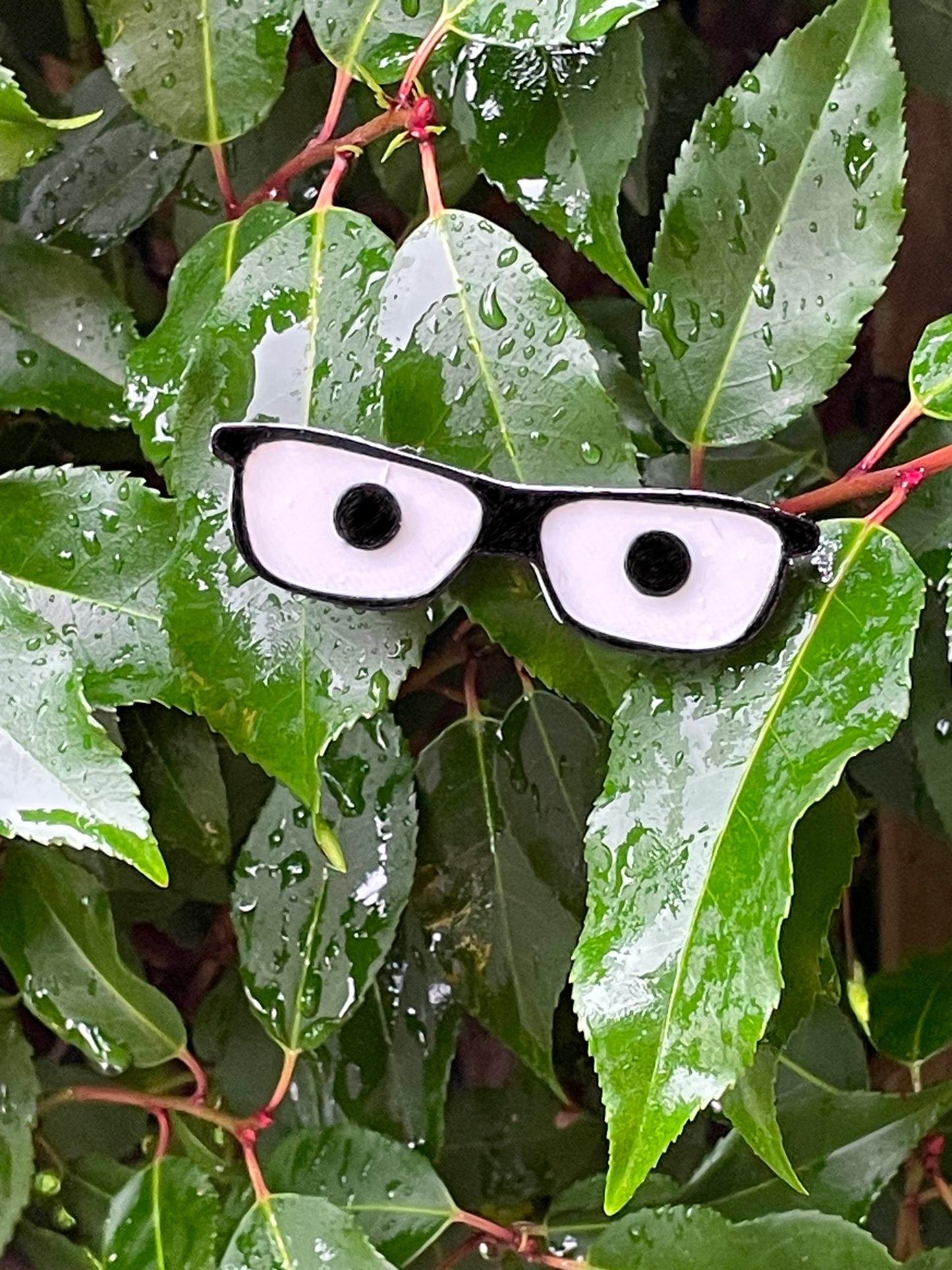 Funny plant eyes version 2