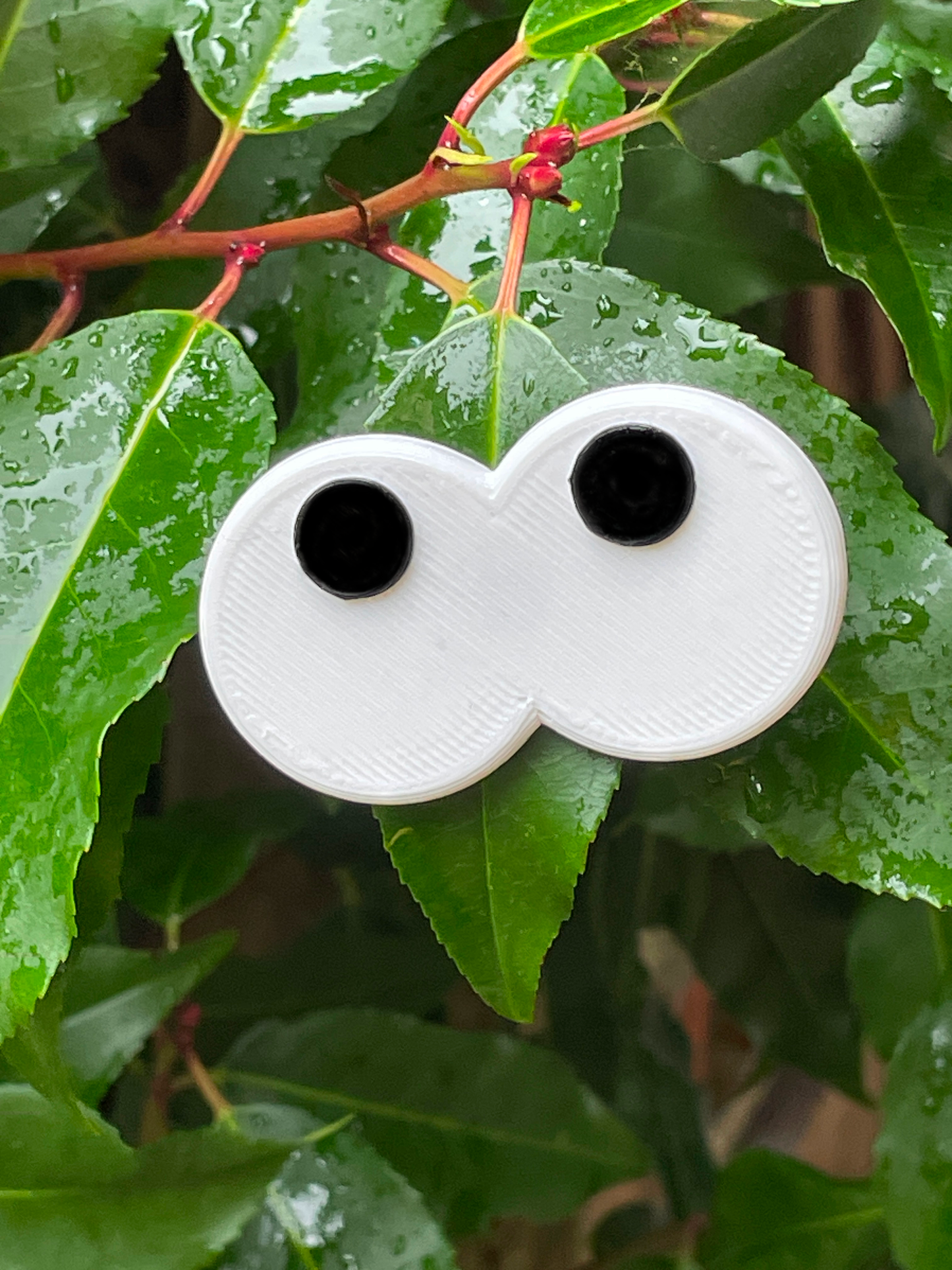 Funny plant eyes version 2